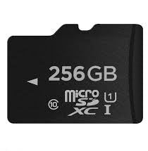 Carte Micro SD 256 Go